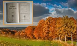 Karolina Wojnarowska. Historia pisarki z galicyjskiej wioski