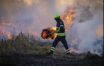 Nie wolno wypalać traw!