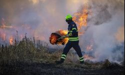 Nie wolno wypalać traw!