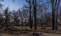 Doradca prezydenta Ukrainy o zbrodniach na cywilach - powinny wstrząsnąć światem