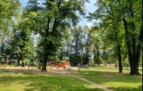 Ruszają prace w parku na Zalesiu. Będzie więcej drzew