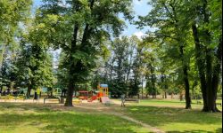 Ruszają prace w parku na Zalesiu. Będzie więcej drzew