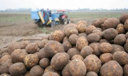 Rząd wyraził zgodę na zbycie udziałów w spółkach, by powołać Krajową Grupę Spożywczą