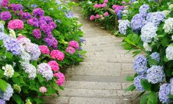 Ponad 1000 nowych krzewów i drzew w Rzeszowie