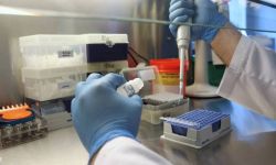 Minionej doby 420 zakażeń koronawirusem, zmarło 16 osób z COVID-19