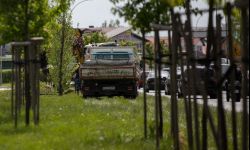 W Rzeszowie nasadzanie dużych drzew. Dębów, klonów i lip