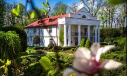 Tysiące zielonych okazów w Arboretum w Bolestraszycach  
