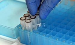 MZ: 264 zakażenia koronawirusem, zmarło 6 osób z COVID-19