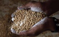 Wicedyrektor FAO: głód z powodu wojny na Ukrainie dotknie 220 mln osób