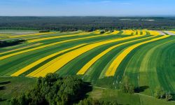 Geoturystyka na Roztoczu - podróż w czasie do świata sprzed milionów lat  