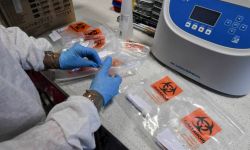 346 zakażeń koronawirusem, z powodu COVID-19 zmarło 7 osób