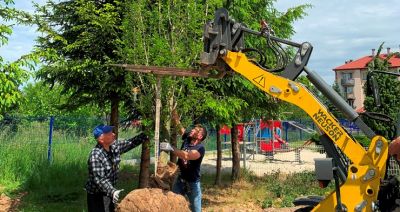 Ogród kieszonkowy na 30 arach przy Kurpiowskiej w Rzeszowie 