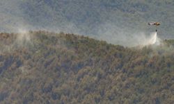 Hiszpania: podczas ostatniej doby spłonęło ponad 20 tys. ha lasów