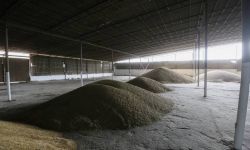 Przywódcy najbogatszych państw świata: wszyscy pracujemy nad tym, by umożliwić Ukrainie eksport zboża