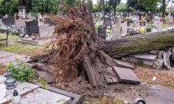 RCB: po nawałnicach 46 tysięcy odbiorców bez prądu