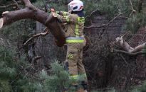 PSP: prawie tysiąc wyjazdów do usuwania skutków nawałnic