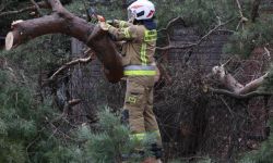 PSP: prawie tysiąc wyjazdów do usuwania skutków nawałnic