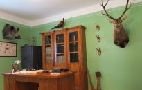 Leśna atrakcja w Muzeum Kultury Ludowej w Kolbuszowej