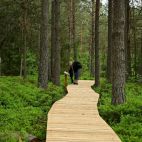 Bieszczady. Torfowisko w Tarnawie Niżnej z nową kładką