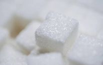 Kowalczyk: w Polsce nie zabraknie cukru