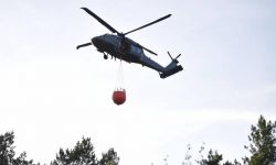 Szef PSP: Polscy strażacy i policjanci gaszą pożary w Czechach