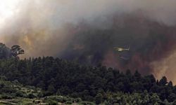 Hiszpania: na Majorce ujęto podpalacza z Niemiec, który wywołał siedem pożarów