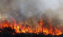 Polski śmigłowiec wspiera czeskie maszyny wojskowe w akcji gaśniczej