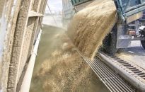 Resort obrony Turcji: pierwszy statek z ukraińskim zbożem wypłynął z Odessy do Libanu