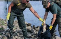 Szef MON: ponad 200 żołnierzy oczyszcza Odrę