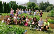 Rzeszowianie chcą deszczowych ogrodów i altany edukacyjnej 