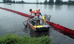 Prof. Mazur-Marzec: w próbkach z Odry są prymnesiny - toksyny tzw. złotych alg
