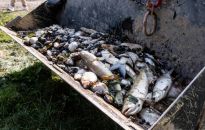 Wojewoda Zachodniopomorski: warunki tlenowe w Odrze ulegają poprawie