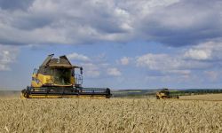 Zełenski: pierwszy milion ton zboża wyeksportowany