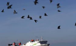 Szwecja: ugaszono pożar na promie z 300 osobami