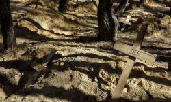 Zełenski: w pobliżu miasta Izium odnaleziono dwa kolejne masowe groby