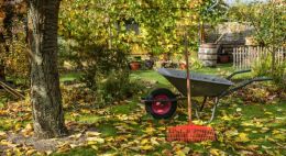 W Rzeszowie suche liście można oddawać ze śmieciami