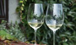 VIII Dni Wina w Jaśle