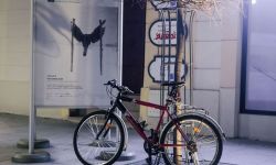 "Witowicz'84". Zdjęcia Janusza Witowicza w Galerii Fotografii