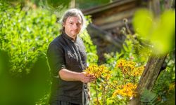 Prof. Łukasz Łuczaj o dzikiej kuchni w Urban Lab Rzeszów 