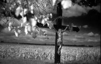 Ostatni smok. Legendy i opowieść z królewskiej wsi Łąka