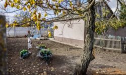 ONZ: udokumentowaliśmy zamordowanie przez Rosjan 441 cywilów w początkowej fazie wojny na Ukrainie