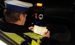 TK: przepisy dot. zatrzymywania prawa jazdy - niezgodne z konstytucją