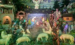 W rzeszowskich kościołach i na Rynku bożonarodzeniowe szopki