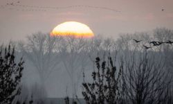 Synoptyk IGMW: pierwsze dni nowego roku rekordowo ciepłe