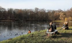 IMGW: Nowy Rok z rekordowymi temperaturami