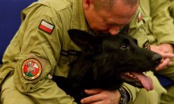 Polscy strażacy ruszą z pomocą do Turcji w poszukiwaniu ofiar trzęsienia ziemi