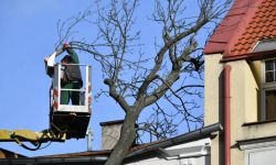 Komendant Główny PSP: ponad 3200 interwencji związanych z usuwaniem skutków silnego wiatru