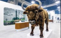 Można już kupić bilet do Centrum Nauki Łukasiewicz