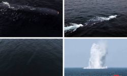 Korea Płn.: kolejny test podwodnego drona zdolnego do przeprowadzenia ataku nuklearnego