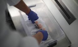 W. Andrusiewicz: 1,7 mln osób otrzymało e-skierowanie na piątą dawkę szczepionki przeciw COVID-19